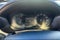 2019 Ford Explorer Platinum